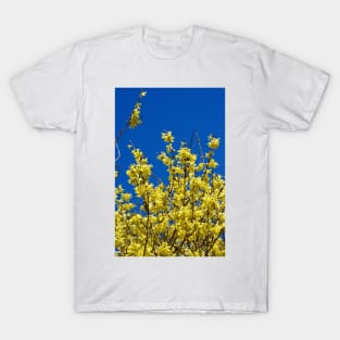 Forsythia In Spring T-Shirt